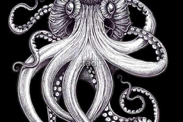 Кракен даркнет store kraken dark link