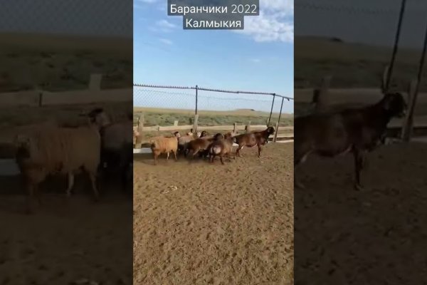 Как войти в кракен