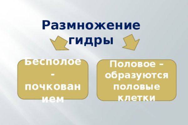 Кракен магазин kraken clear com