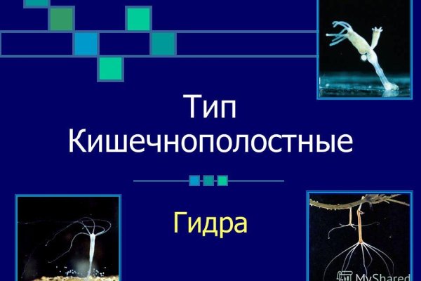 Кракен маркетплейс ссылка на сайт