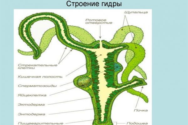 Адрес кракен в тор