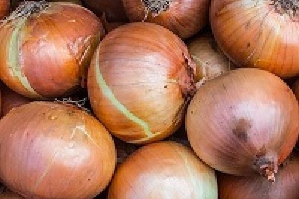 Проверенная ссылка кракен